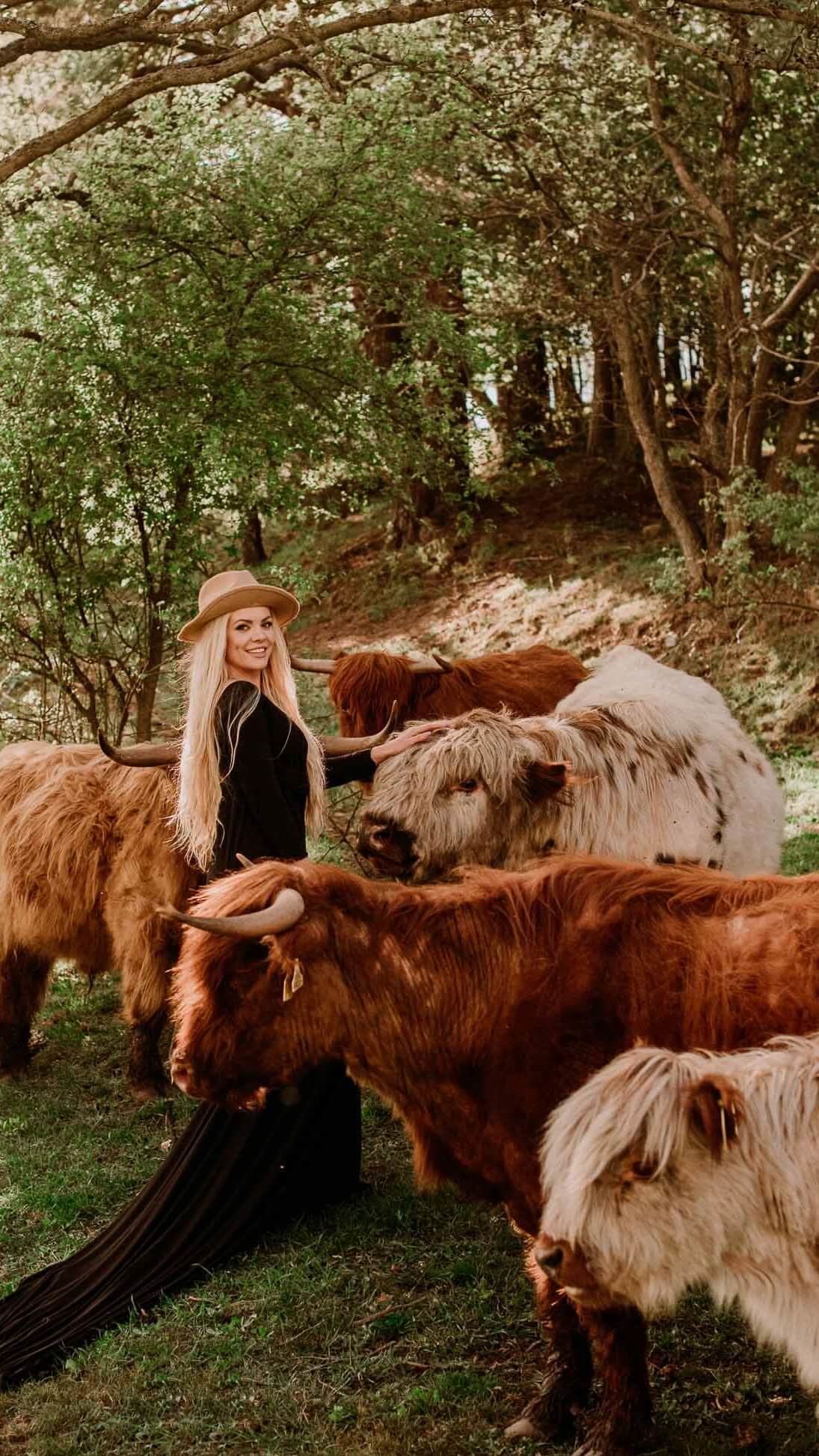 lawendowy_wypas_noclegi_domek_do_wynajęcia_apartament_mierzeszyn_krowy_highland-2