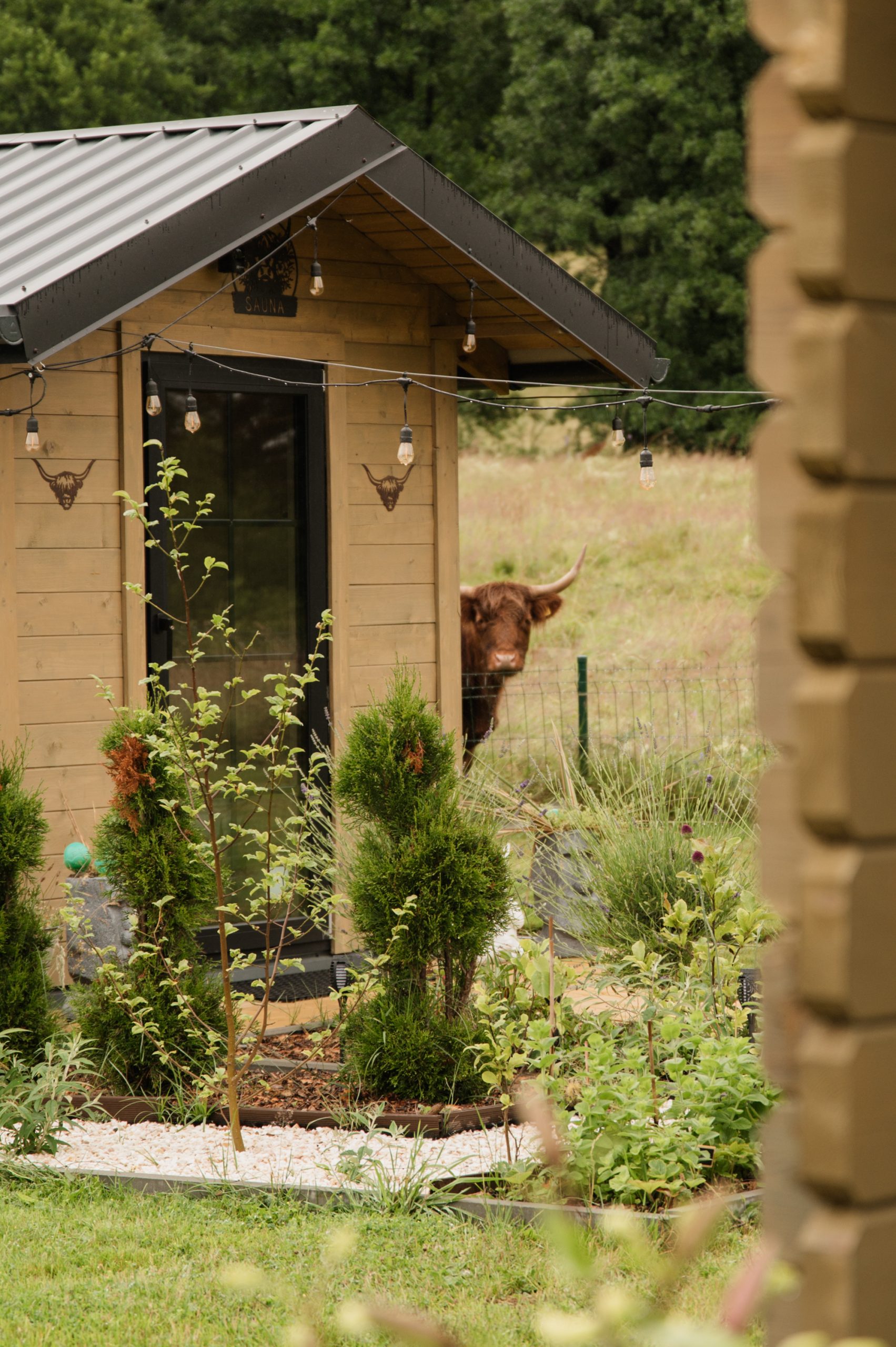 lawendowy_wypas_noclegi_domek_do_wynajęcia_apartament_mierzeszyn-61